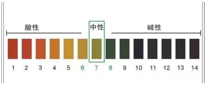 游泳池的水那么蓝，是加了硫酸铜吗？