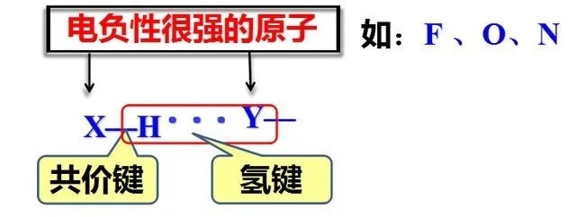 氢键最全的知识点及其应用