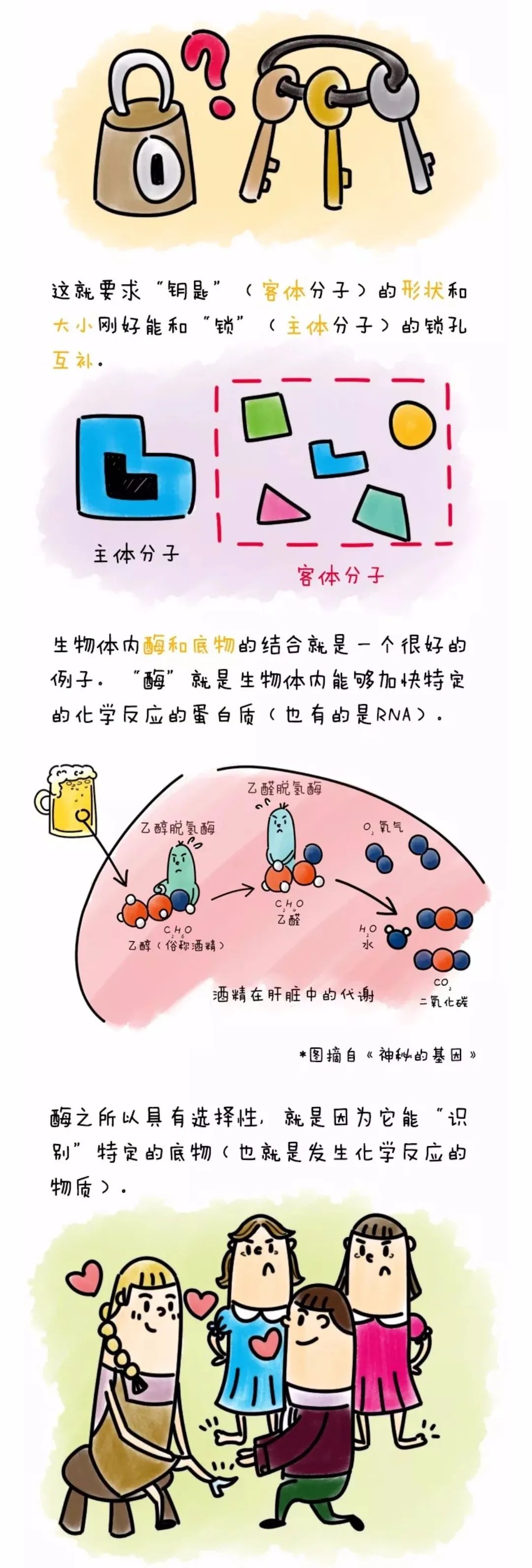 漫画学习超分子