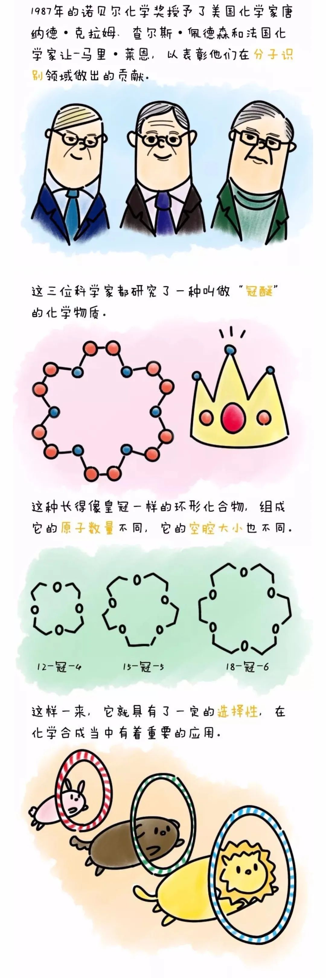 漫画学习超分子