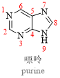 有机化合物命名全面解读