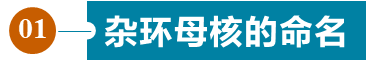 有机化合物命名全面解读