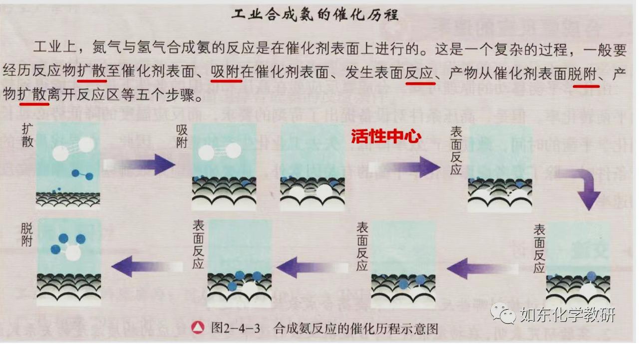 2025届高三化学二轮 《反应机理分析》_25