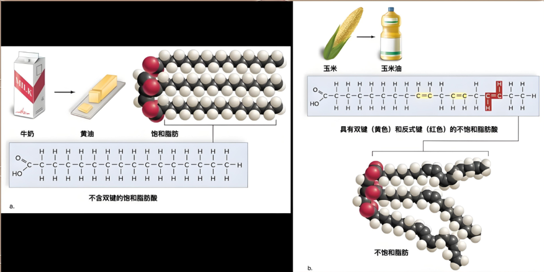 氢化植物油为什么没有得到普遍使用？