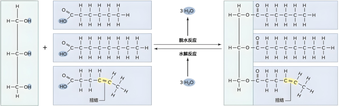 氢化植物油为什么没有得到普遍使用？