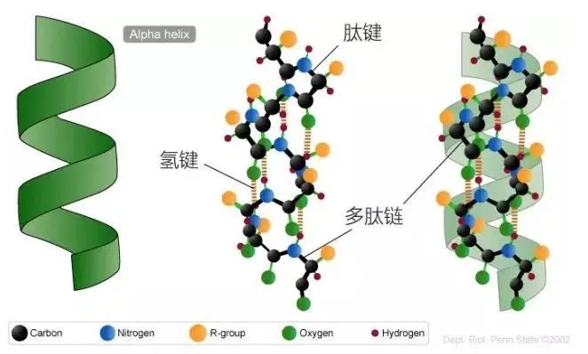 氢键全方位详细介绍