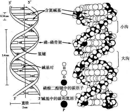 氢键全方位详细介绍