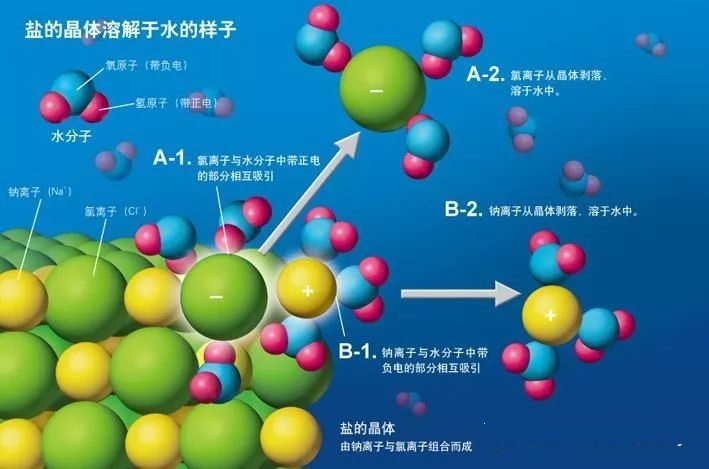 铵盐为什么易溶于水？