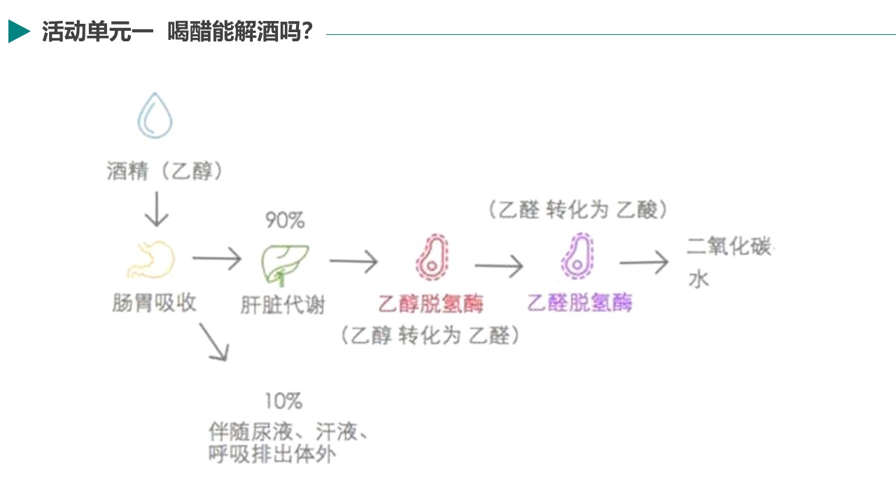 幻灯片8