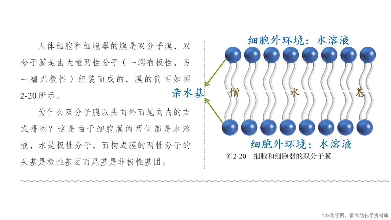 幻灯片12