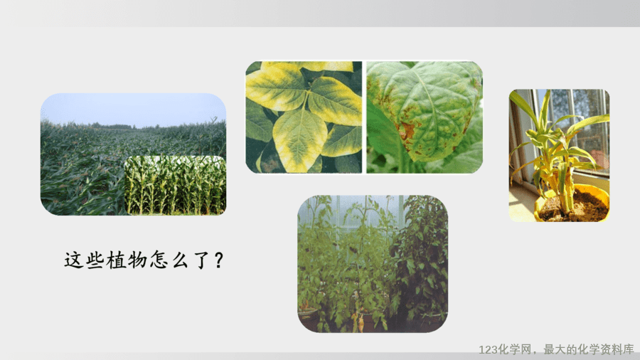 【精品课件】2025年春初中化学九年级下册课件-课题3 第3课时 化肥-9