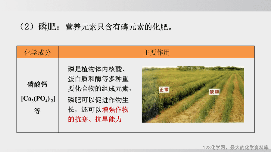 【精品课件】2025年春初中化学九年级下册课件-课题3 第3课时 化肥-14
