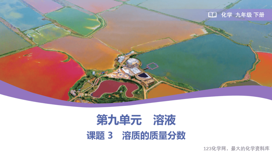 课题3 溶质的质量分数-1