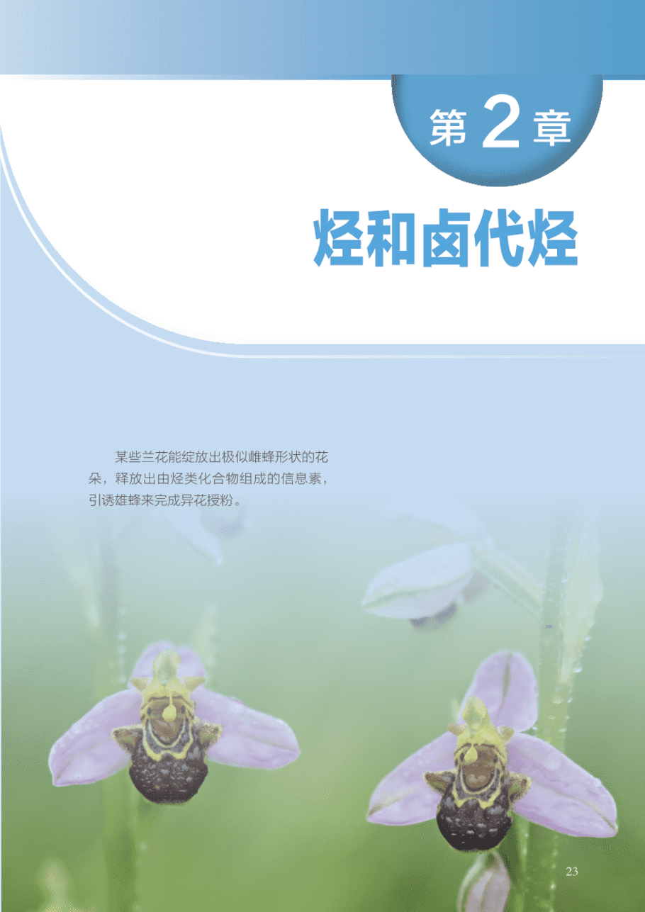 沪 普通高中教科书·化学选择性必修3_有机化学基础-28