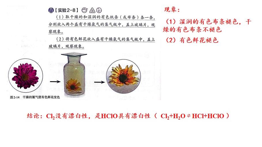 幻灯片8