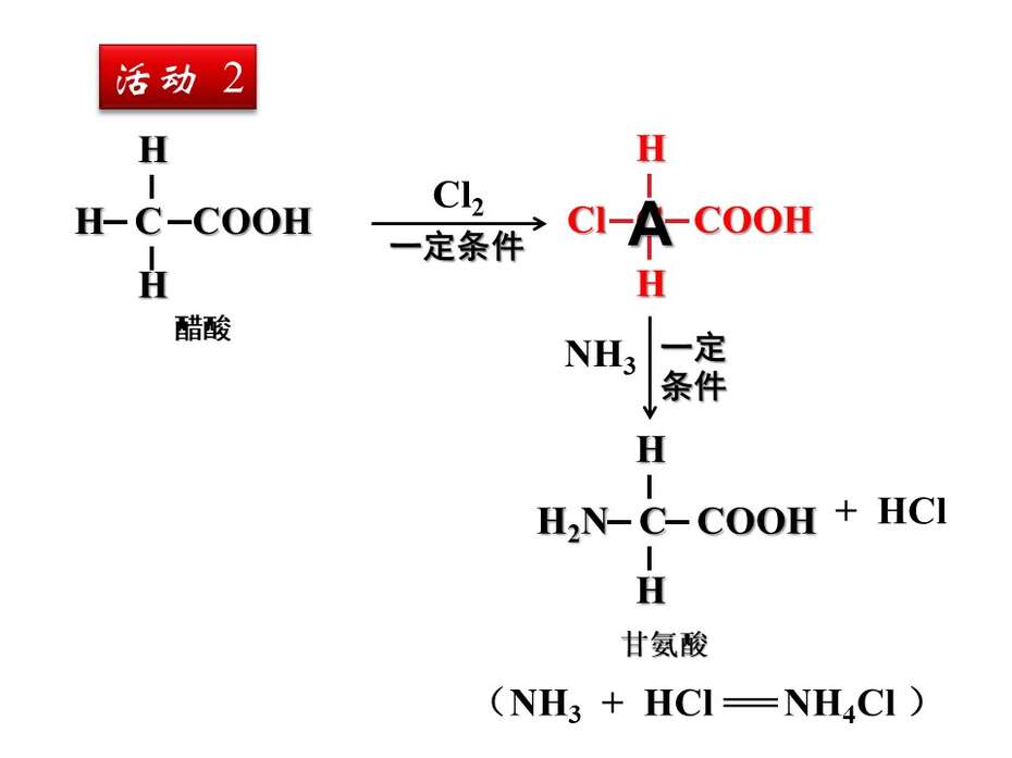 幻灯片19