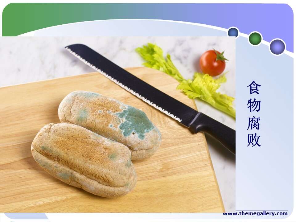 幻灯片11