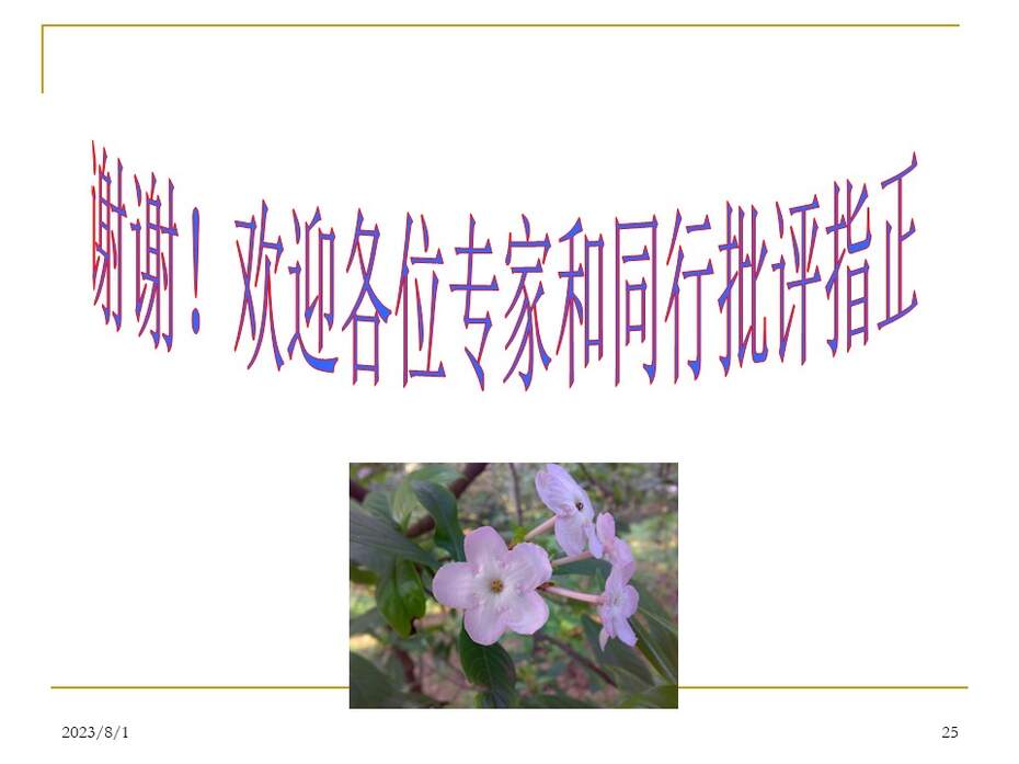 幻灯片25
