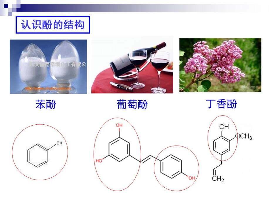 幻灯片10