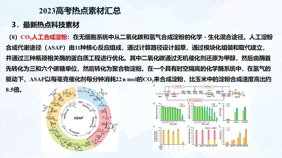 幻灯片31
