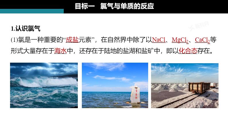 123化学网1