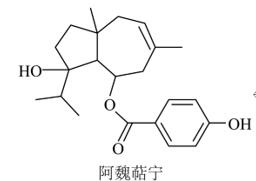十年高考