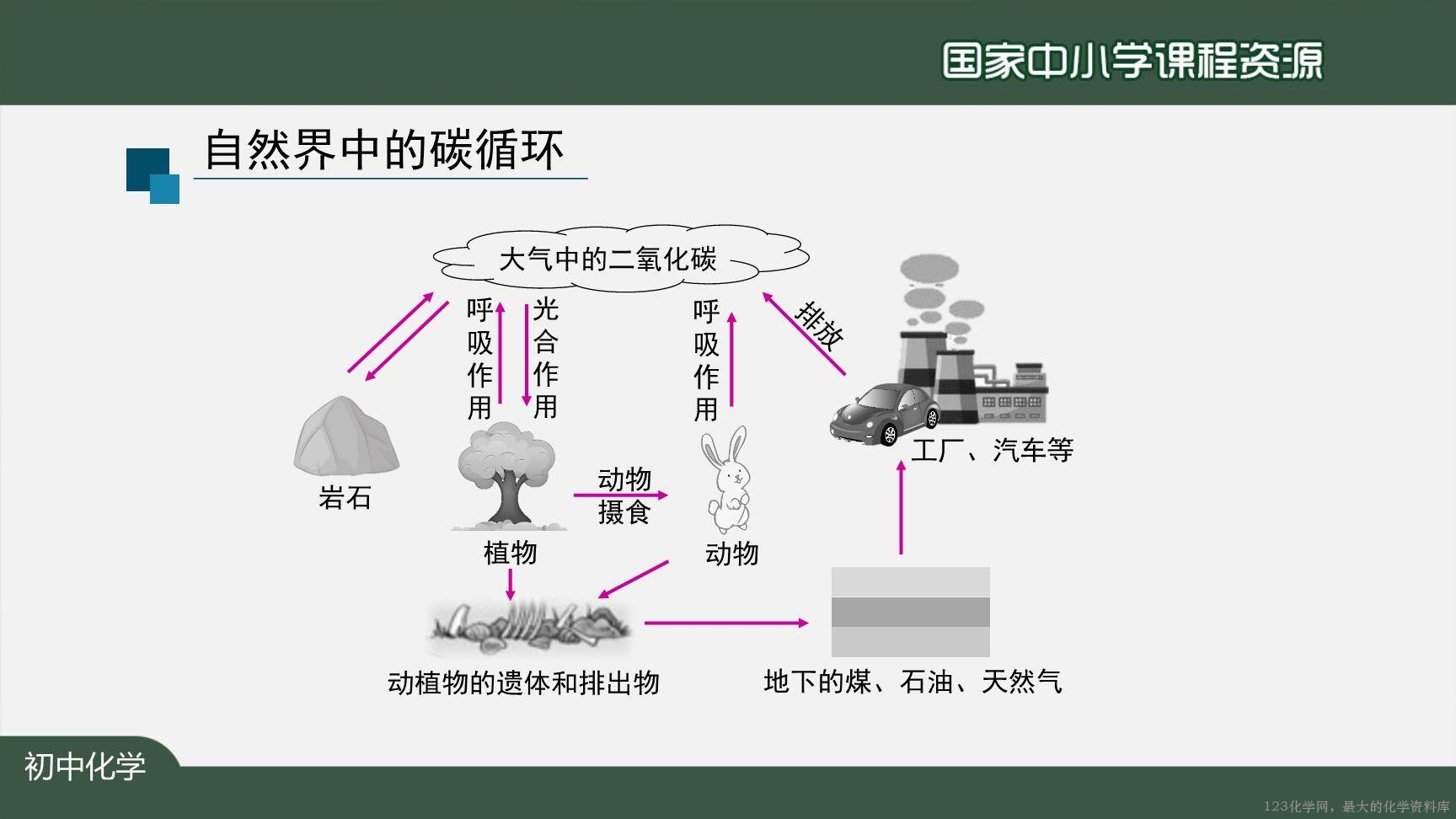 20201027初三化学(人教版)元素(第一课时)-2PPT-25