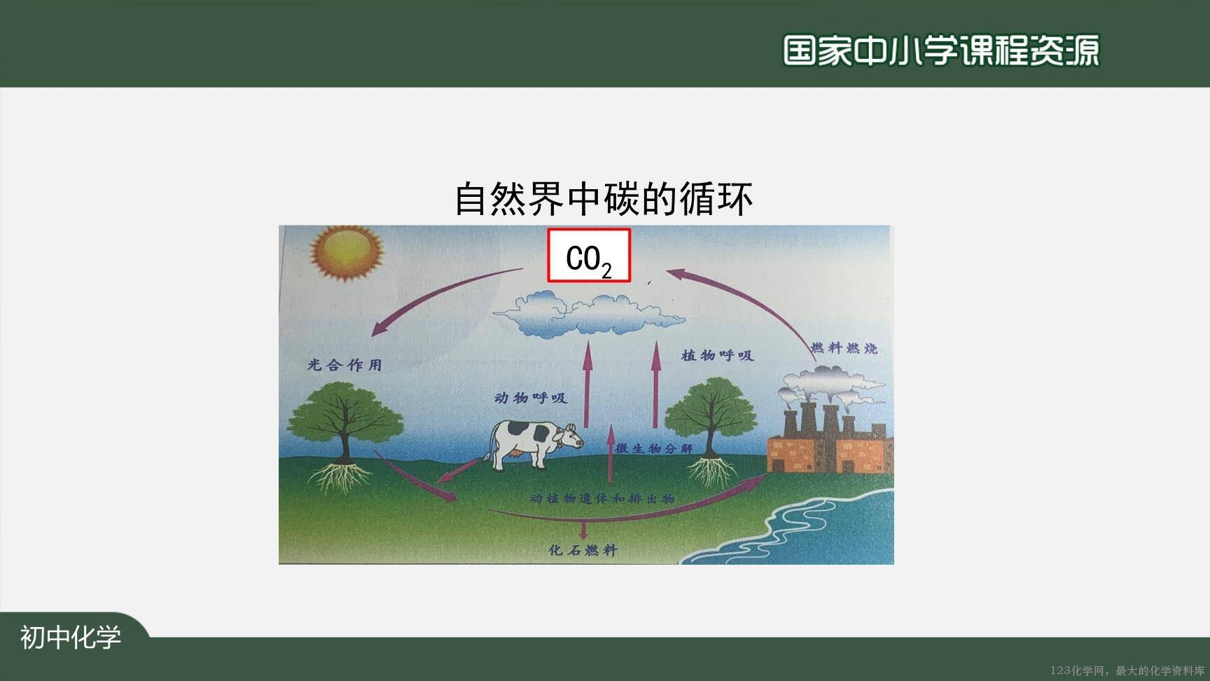 1215初三【化学(人教版)】碳和碳的氧化物+复习-25