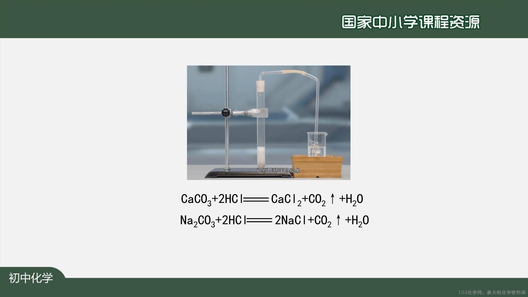 1207初三【化学(人教版)】二氧化碳制取的研究(第一课时)-11
