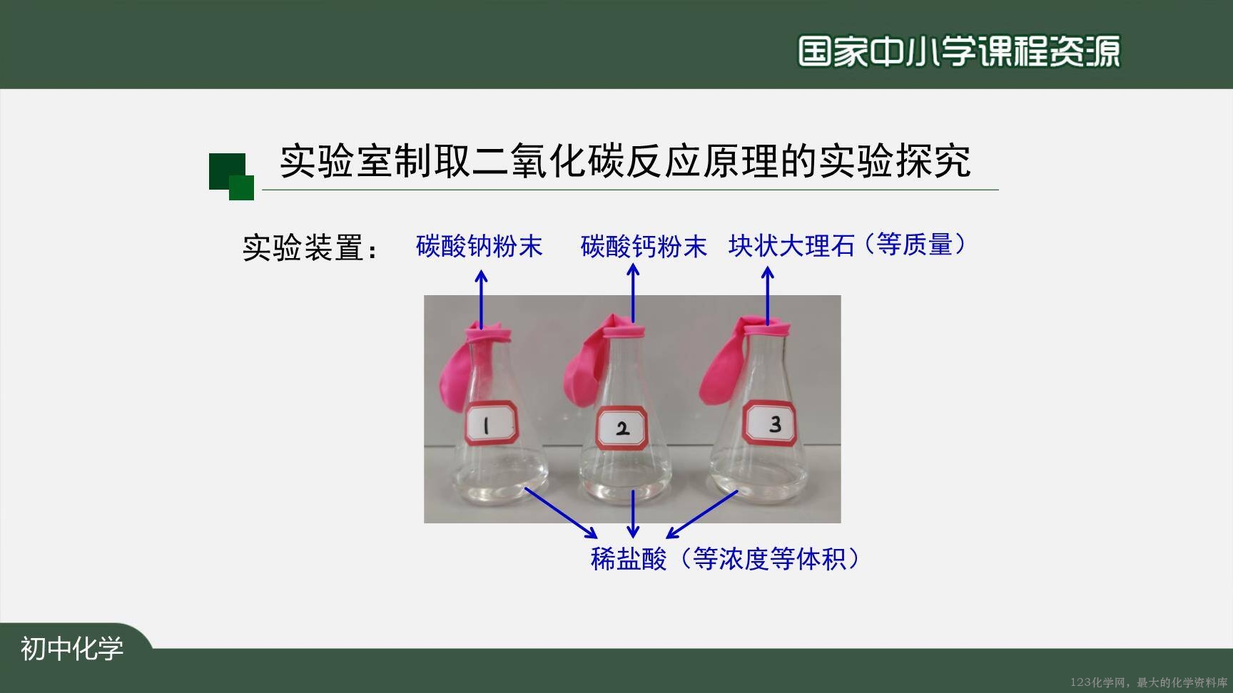 1207初三【化学(人教版)】二氧化碳制取的研究(第一课时)-13
