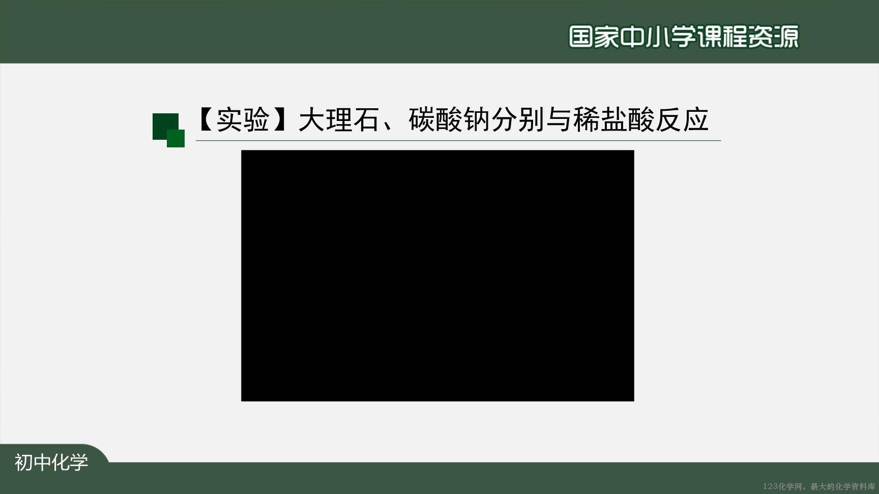 1207初三【化学(人教版)】二氧化碳制取的研究(第一课时)-10