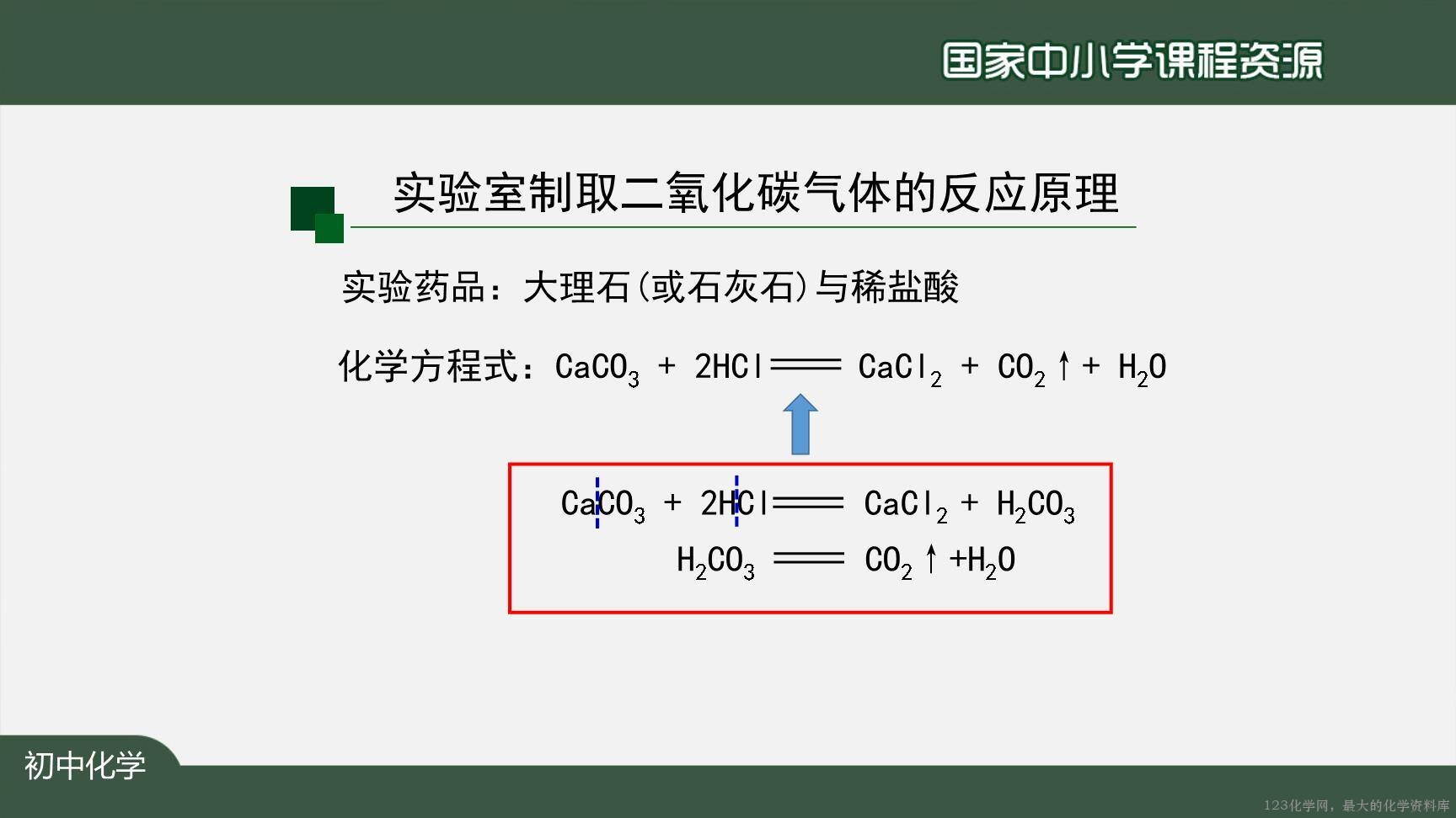1207初三【化学(人教版)】二氧化碳制取的研究(第一课时)-21