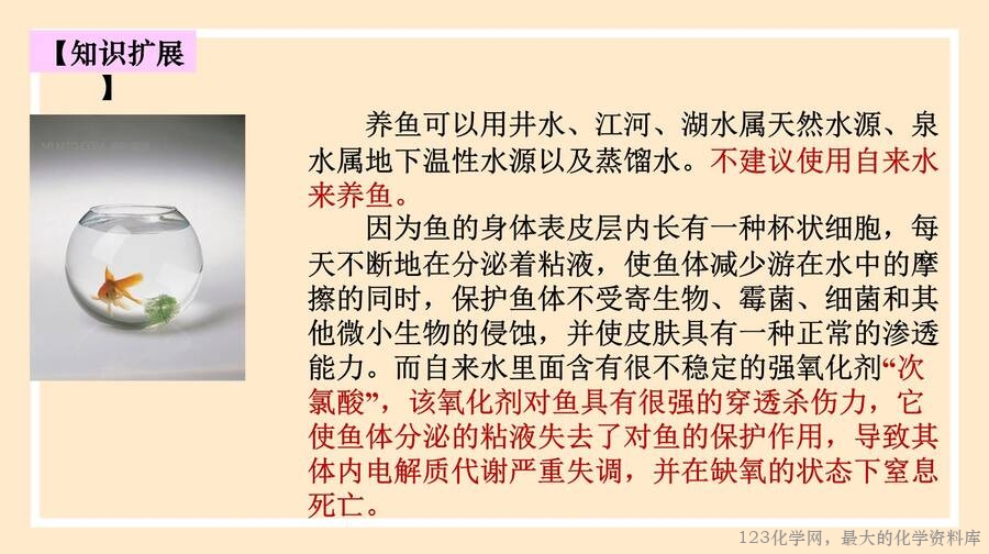 氯气的性质