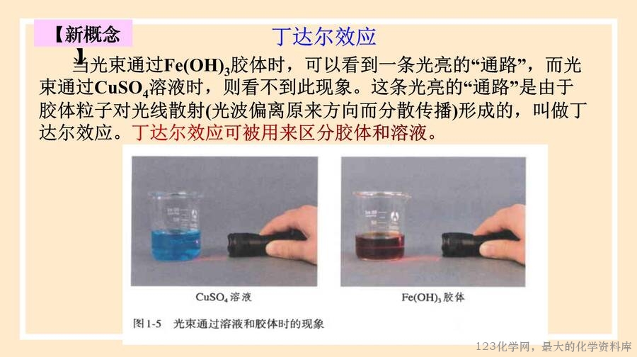 物质的分类