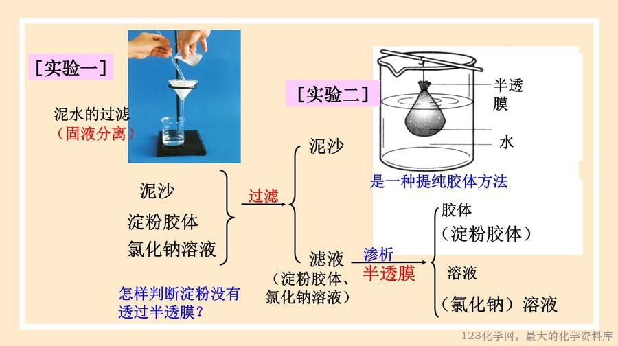 物质的分类