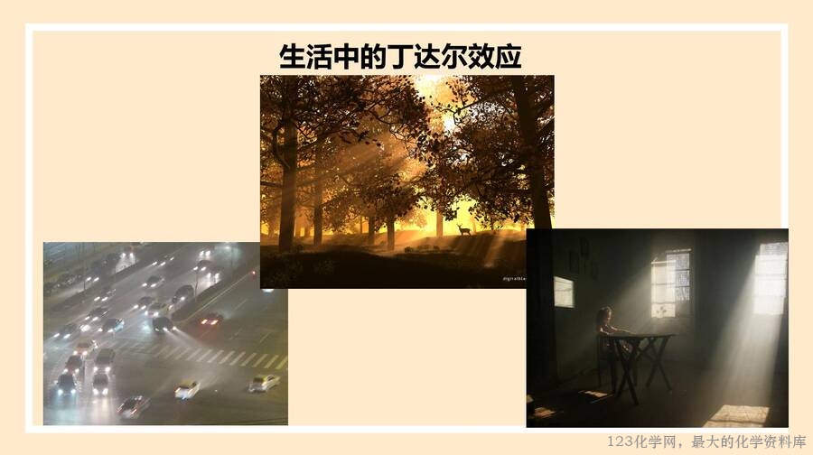 物质的分类