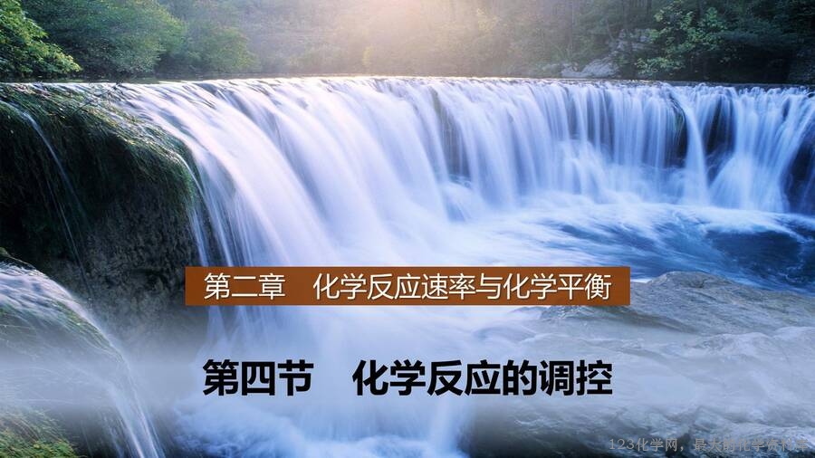 第2章第4节化学反应的调控 -1