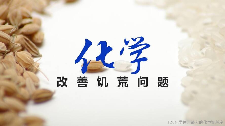 2025秋初中化学九年级上册人教版优质课件绪言-5