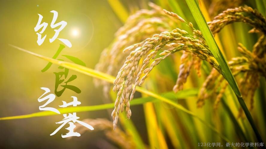 2025秋初中化学九年级上册人教版优质课件绪言-4