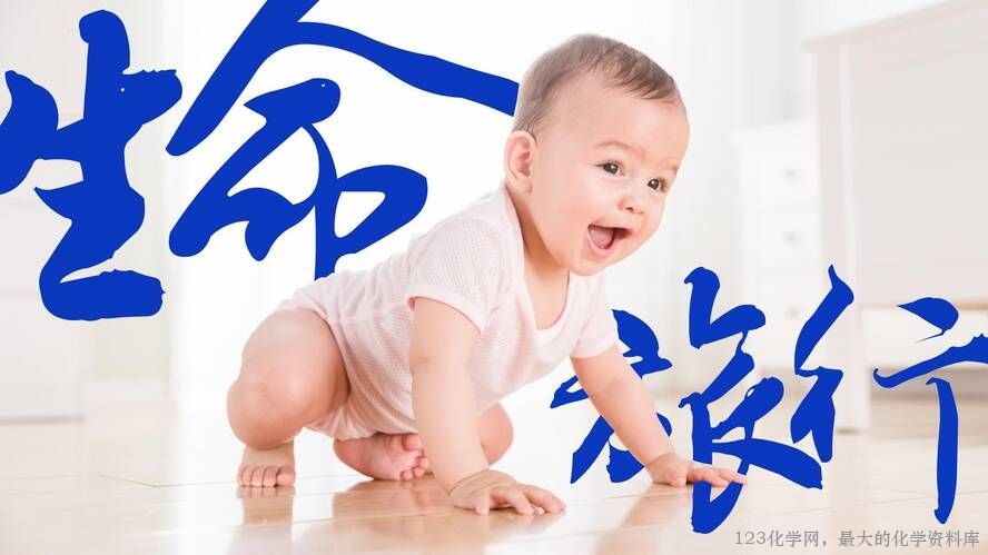 2025秋初中化学九年级上册人教版优质课件绪言-22