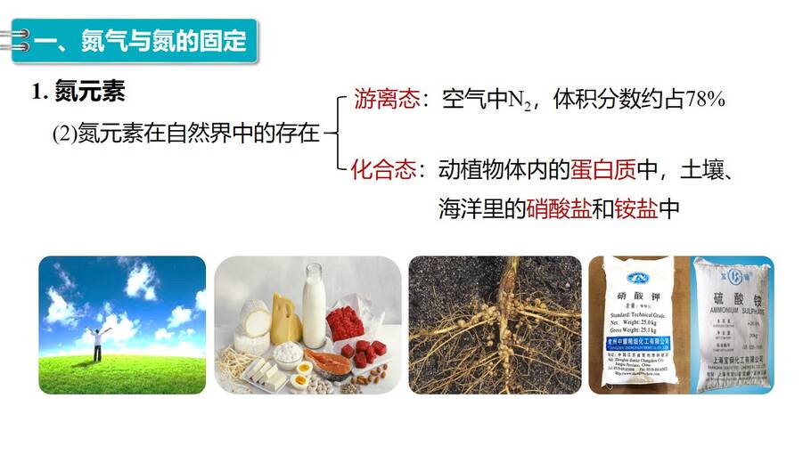 幻灯片5