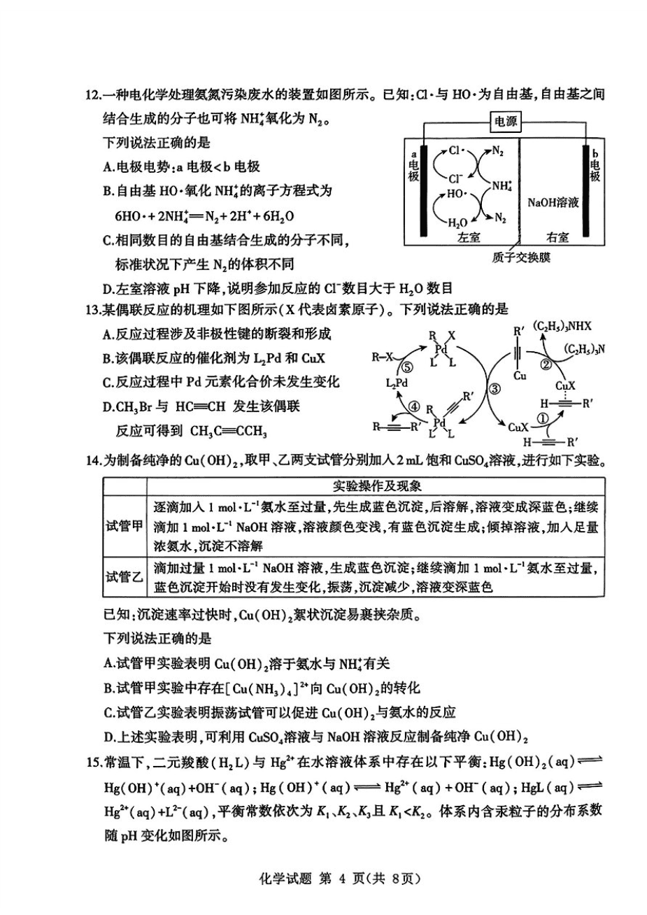 山东省九五高中协作体2025高三年级质量检测（九五联考）化学-4